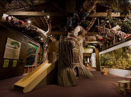 Charleston Children’s Museum