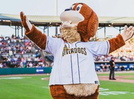 Charleston River Dogs