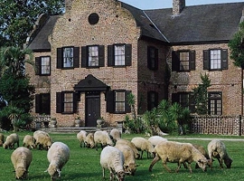 Plantation life at Middleton Place